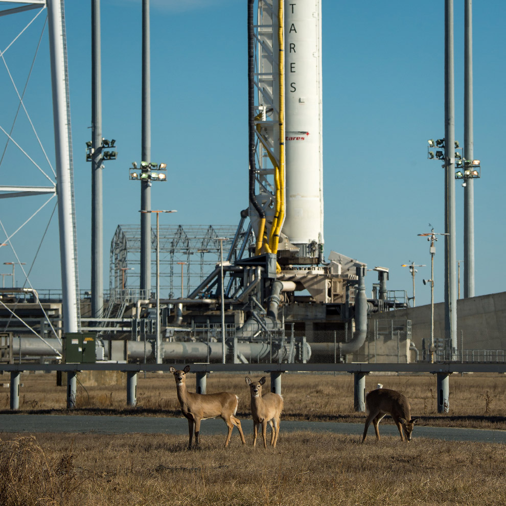 Полет «Лебедя» к МКС Полет «Лебедя» к МКС