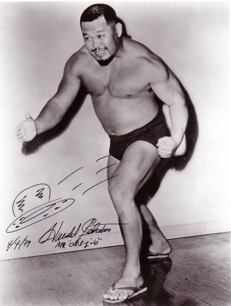 8 профессиональных рестлеров, ставших киноактерами 8 профессиональных рестлеров, ставших киноактерами