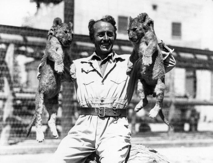 Львиная ферма в Калифорнии