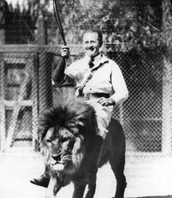 Львиная ферма в Калифорнии