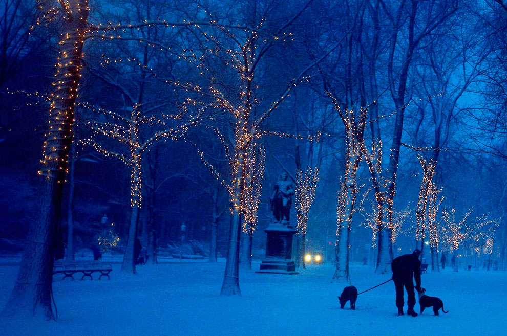 Снежная буря «Немо» в США Снежная буря «Немо» в США