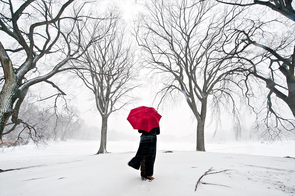 Снежная буря «Немо» в США Снежная буря «Немо» в США