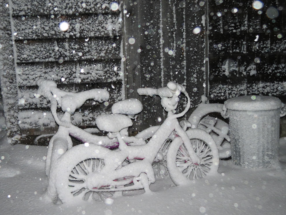 Снежная буря «Немо» в США Снежная буря «Немо» в США