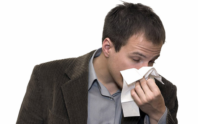 22 факта о Германии глазами студентки