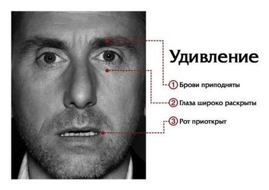 Интересные факты о человеческих эмоциях и инстинктах (8 фото) Интересные факты о человеческих эмоциях и инстинктах (8 фото)