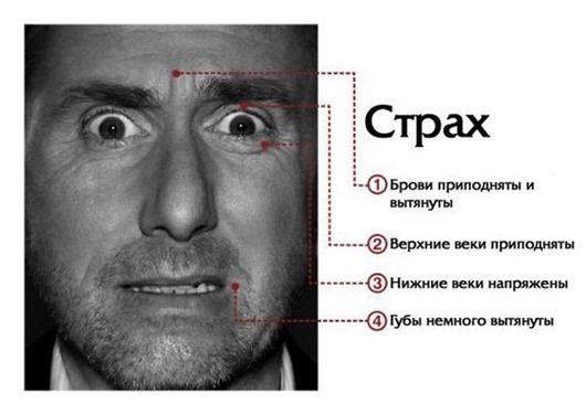 Интересные факты о человеческих эмоциях и инстинктах (8 фото) Интересные факты о человеческих эмоциях и инстинктах (8 фото)