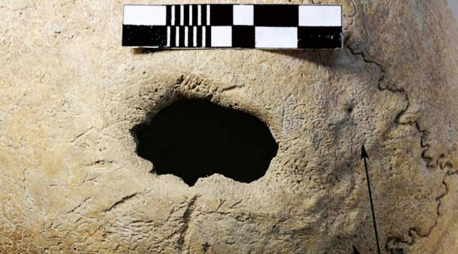 Тайны Сибири