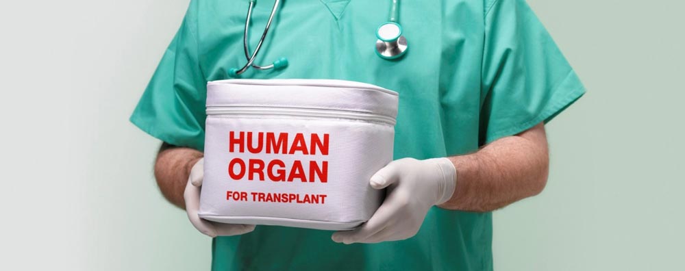 «С тела по нитке», или как мертвые могут помочь живым? «С тела по нитке», или как мертвые могут помочь живым?