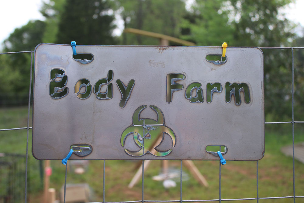 «С тела по нитке», или как мертвые могут помочь живым? «С тела по нитке», или как мертвые могут помочь живым?