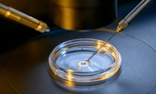 «С тела по нитке», или как мертвые могут помочь живым? «С тела по нитке», или как мертвые могут помочь живым?