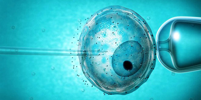 «С тела по нитке», или как мертвые могут помочь живым? «С тела по нитке», или как мертвые могут помочь живым?