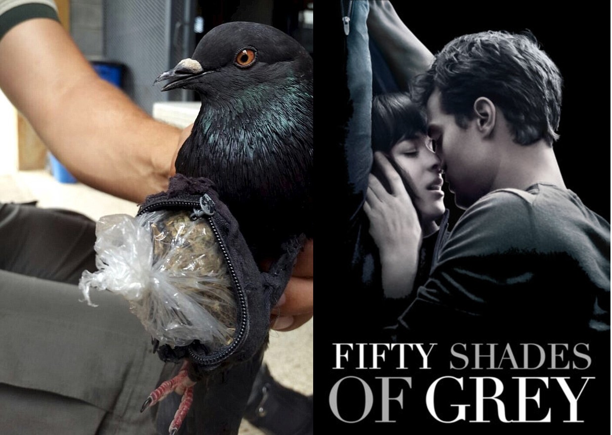 «Сигареты и сухари – это слишком банально» или парочка забавных случаев необычной «тюремной контрабанды» «Сигареты и сухари – это слишком банально» или парочка забавных случаев необычной «тюремной контрабанды»