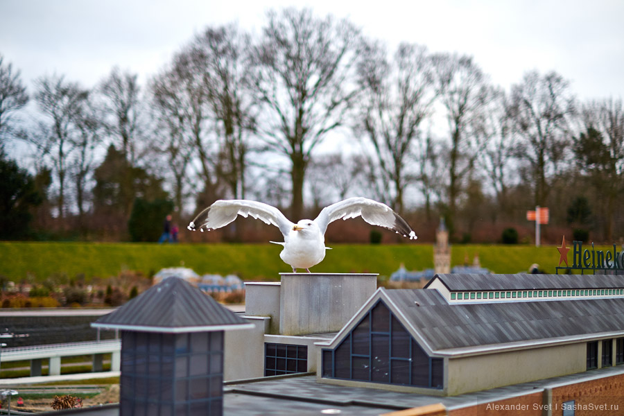 Madurodam – музей миниатюры в Гааге