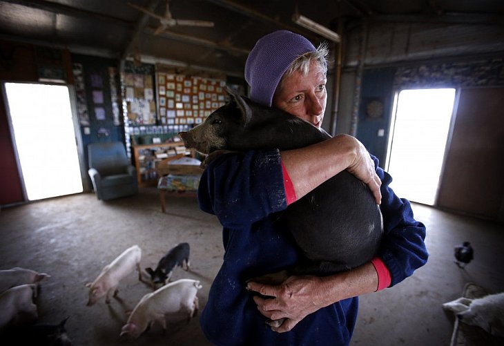 Необычные домашние животные