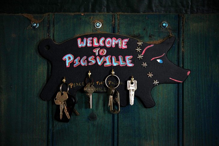 Необычные домашние животные