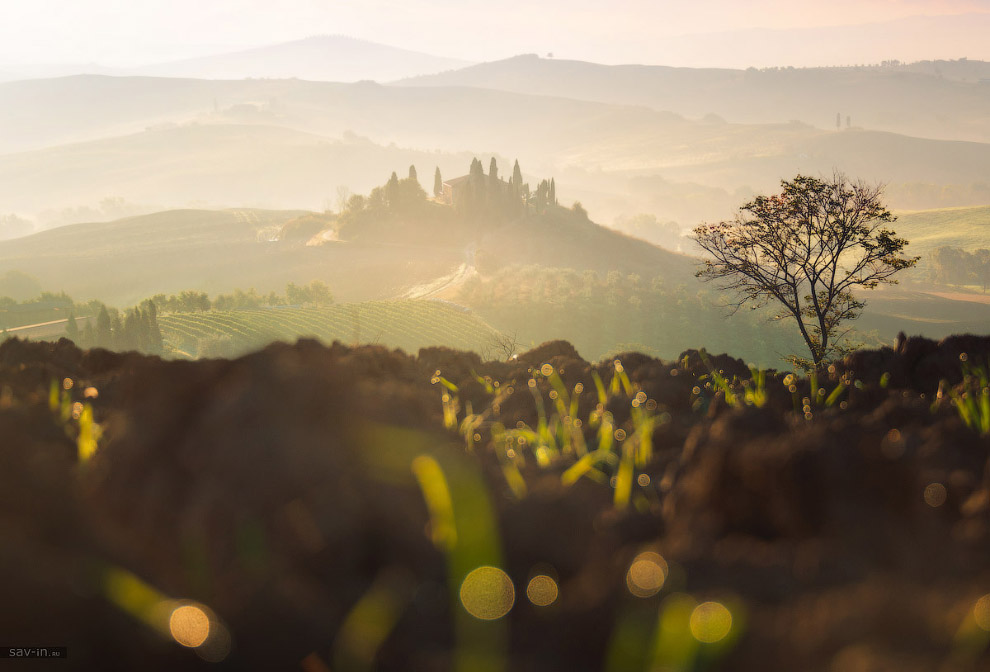 Теплая осень в Тоскане