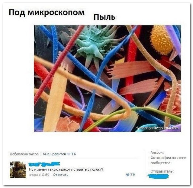 Смешные комментарии из социальных сетей