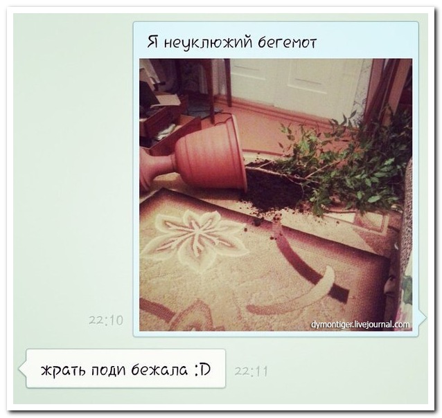 Смешные комментарии из социальных сетей