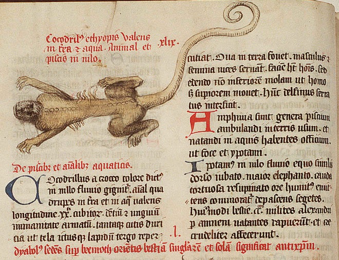 Несколько странных особенностей животных, в которые раньше верили люди. Часть 2