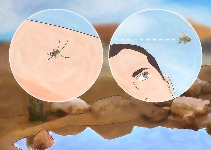 Как выжить в экстремальных ситуациях Как выжить в экстремальных ситуациях