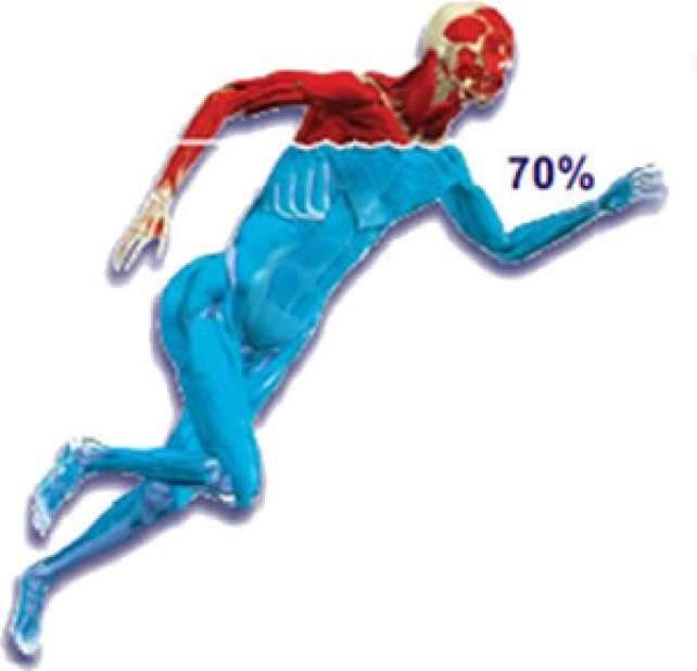 Почему врачи советуют жить у моря? Почему врачи советуют жить у моря?