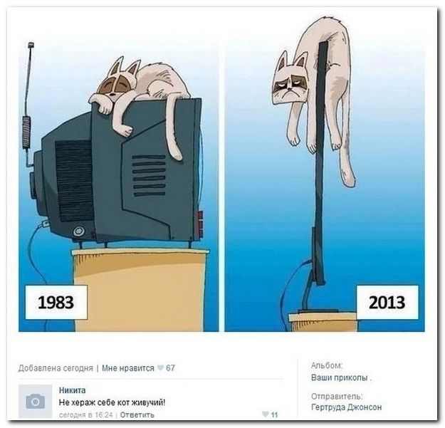 Смешные комментарии из социальных сетей (40 фото)