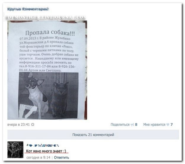 Смешные комментарии из социальных сетей (40 фото)