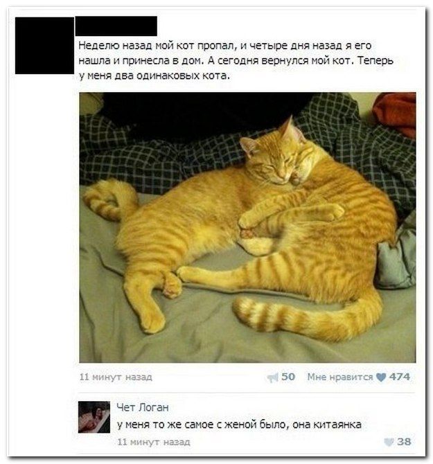 Смешные комментарии из социальных сетей (40 фото)