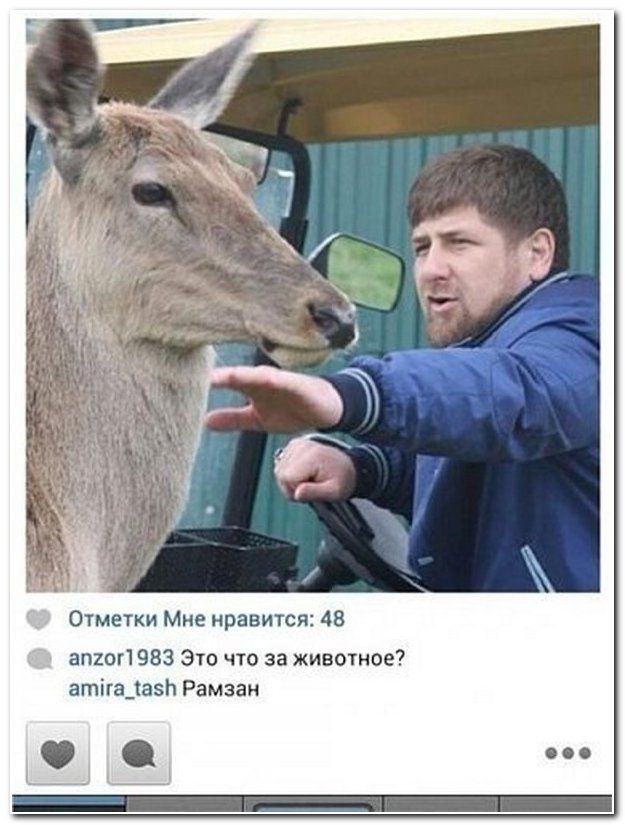 Смешные комментарии из социальных сетей (40 фото)