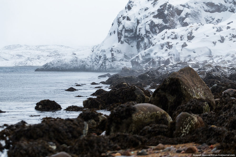 Териберка. Охота за северным сиянием