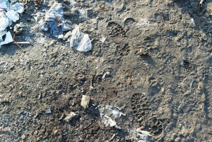 Экскурсия по 17 кварталу Якутска Экскурсия по 17 кварталу Якутска