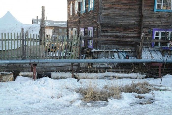 Экскурсия по 17 кварталу Якутска Экскурсия по 17 кварталу Якутска