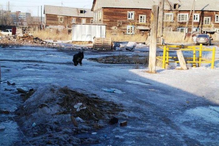 Экскурсия по 17 кварталу Якутска Экскурсия по 17 кварталу Якутска