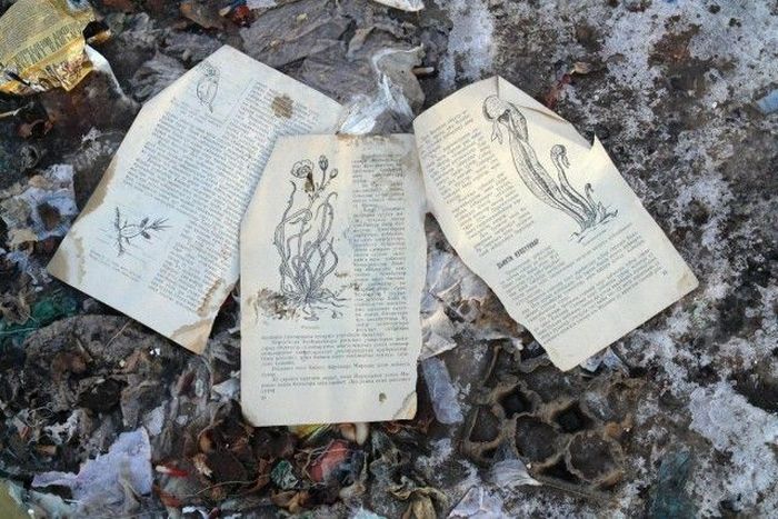 Экскурсия по 17 кварталу Якутска Экскурсия по 17 кварталу Якутска