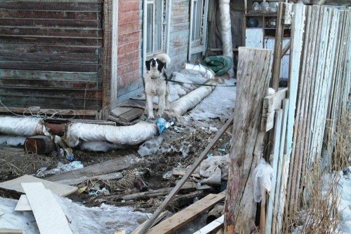 Экскурсия по 17 кварталу Якутска Экскурсия по 17 кварталу Якутска