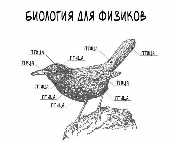 Смешные комиксы