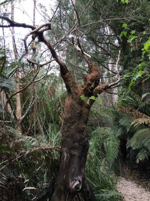 Подборка жутких фото