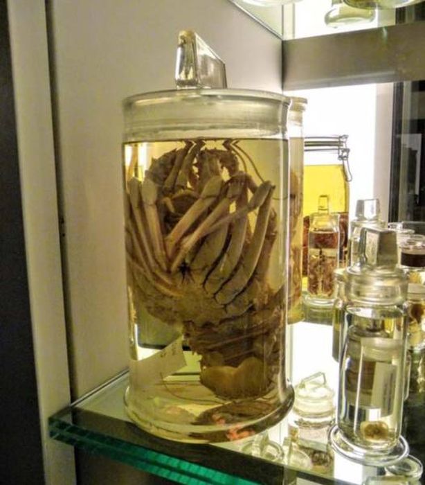 Подборка жутких фото