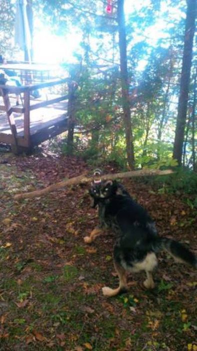 Подборка жутких фото