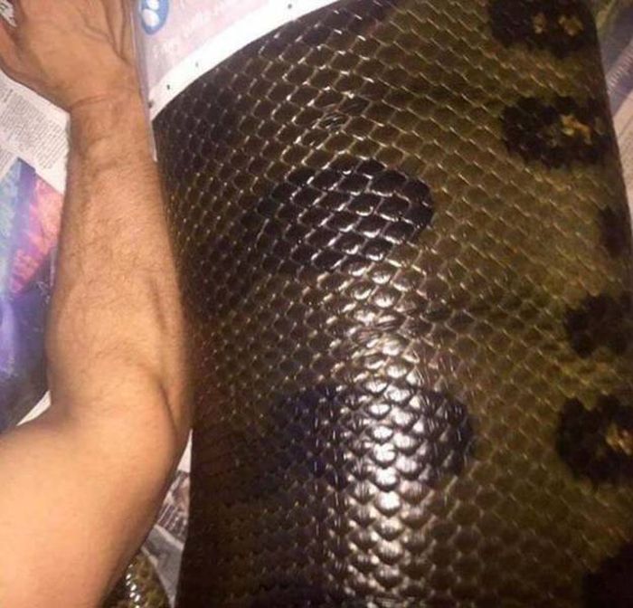 Подборка жутких фото