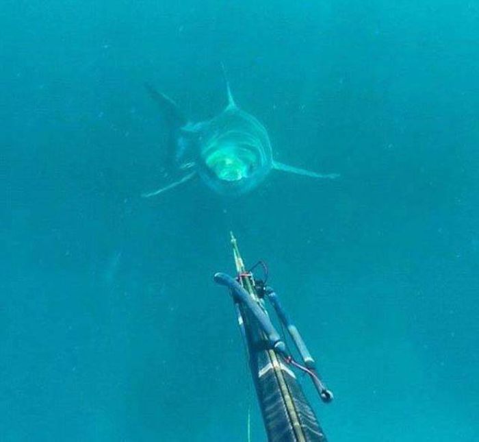 Подборка жутких фото