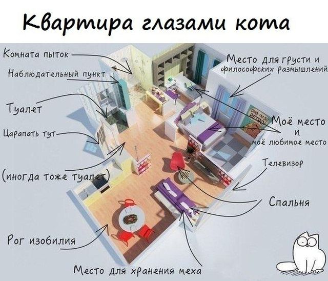 Смешные комиксы