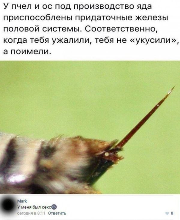 Юмор из соцсетей