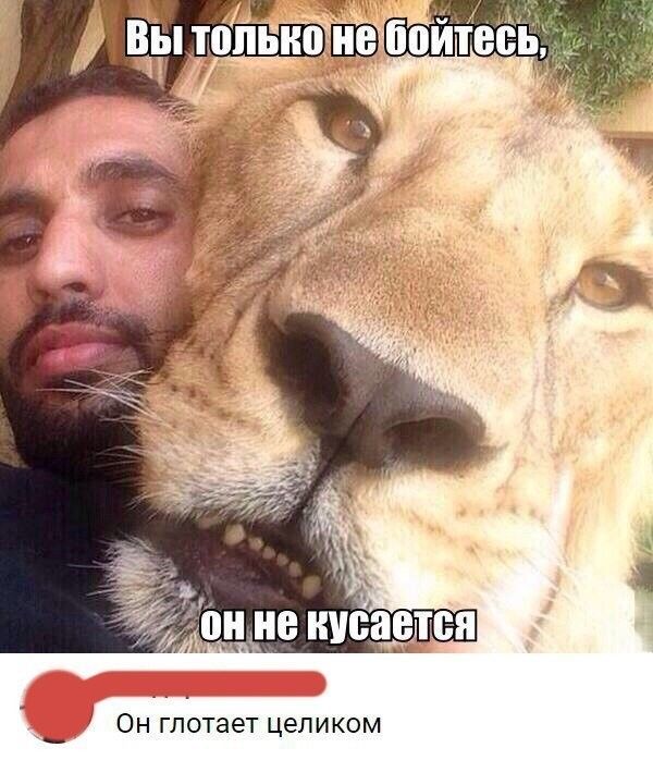 Юмор из соцсетей