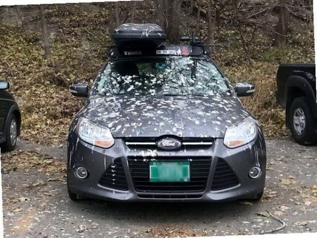 Подборка автоюмора