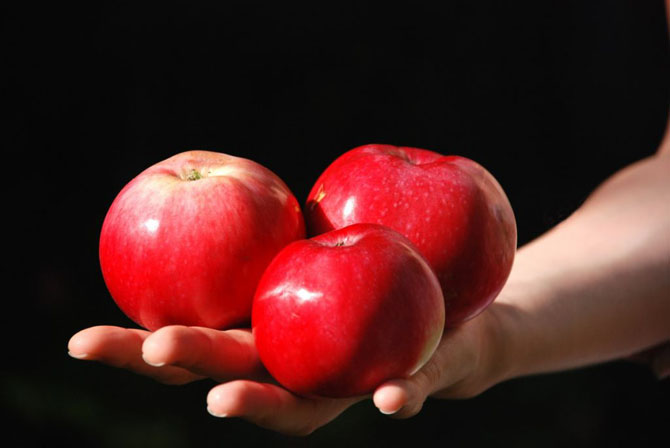 10 неразгаданнных тайн человека 10 неразгаданнных тайн человека