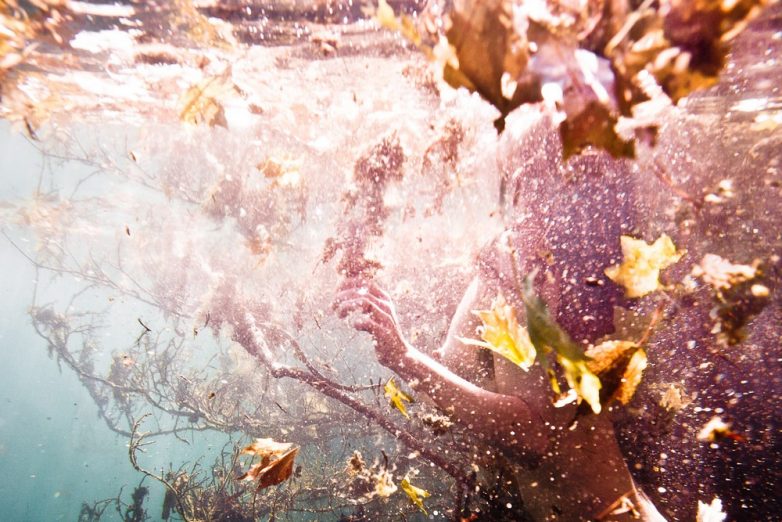 Хрустальная красота