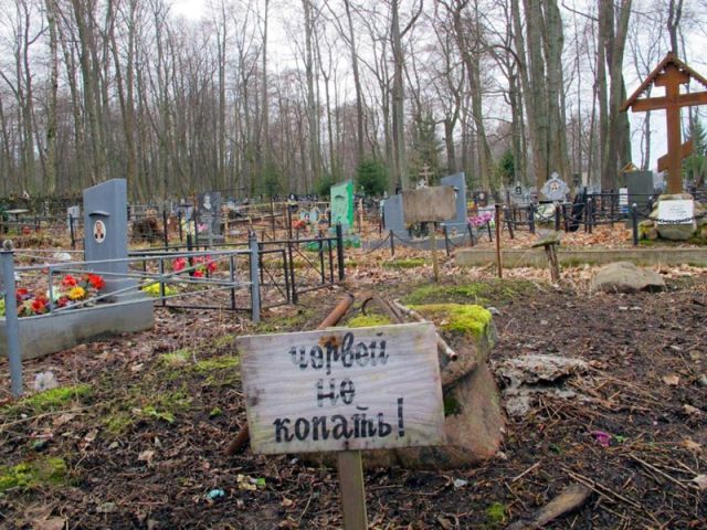 Жесткий юмор