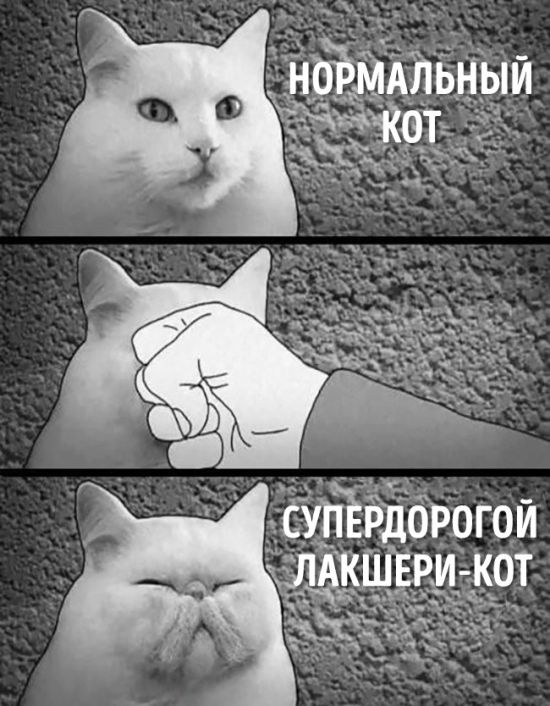 Жесткий юмор