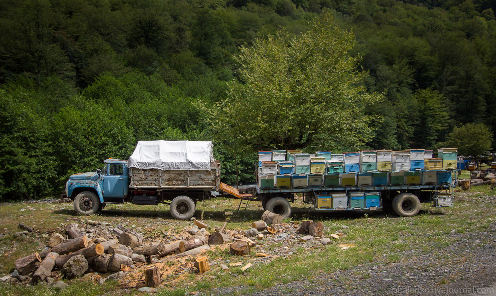 Путешествие по Грузии